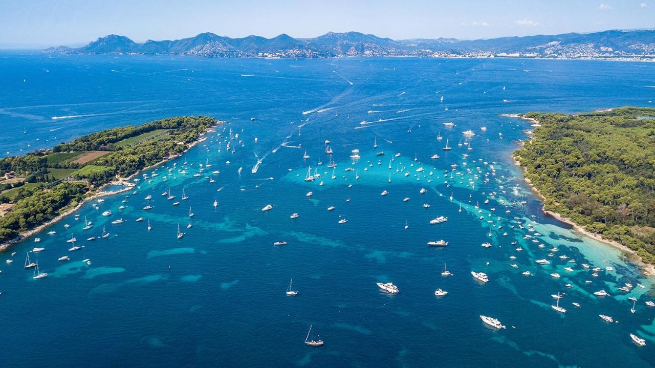 Profitez Du Festival Du Soleil De Cannes Apartment Luaran gambar